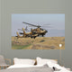 Two Ah-64a Peten Attack Wall Decal