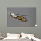 Ah-1s Tzefa Israeli Air Wall Decal