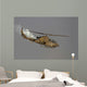 Ah-1s Tzefa Israeli Air Wall Decal