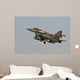 F-16i Sufa Israeli Air Wall Mural