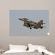 F-16i Sufa Israeli Air Wall Mural