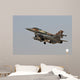 F-16i Sufa Israeli Air Wall Mural