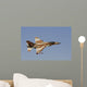 F-16a Netz Israeli Air Wall Decal Design 9