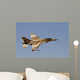 F-16a Netz Israeli Air Wall Decal Design 9
