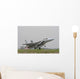 F-15d Baz Israeli Air Wall Decal Design 1