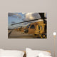 Israeli Air Force Uh-60l Wall Decal