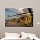 Israeli Air Force Uh-60l Wall Decal
