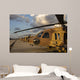 Israeli Air Force Uh-60l Wall Decal