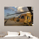 Israeli Air Force Uh-60l Wall Decal