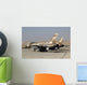 Pair F-16a B Netz Wall Decal