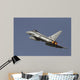 Eurofighter Typhoon Italian Air Wall Decal Design 3