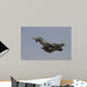Eurofighter Typhoon Italian Air Wall Decal Design 1