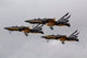 T-50 Golden Eagles from Wall Decal