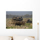 Two Israel Defense Force Wall Decal