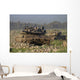Two Israel Defense Force Wall Decal