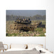 Two Israel Defense Force Wall Decal
