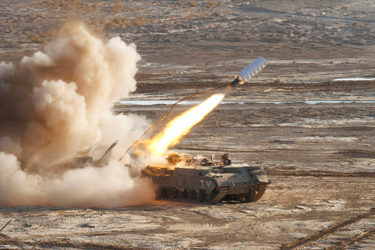 Israel Defense Force Puma Wall Decal