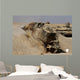Israel Defense Force Caterpillar Wall Decal