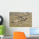 Uh-60l Yanshuf Helicopter Israeli Wall Decal Design 3