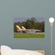 Pair F-16c Barak Israeli Wall Decal