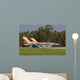 Pair F-16c Barak Israeli Wall Decal