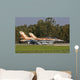 Pair F-16c Barak Israeli Wall Decal