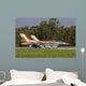 Pair F-16c Barak Israeli Wall Decal