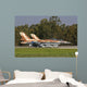 Pair F-16c Barak Israeli Wall Decal