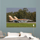Pair F-16c Barak Israeli Wall Decal