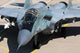 Mig-29 Aircraft with One Wall Decal