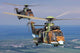 Eurocopter As532 Cougar Helicopters Wall Decal