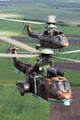 Bulgarian Air Force Eurocopter Wall Decal Design 1