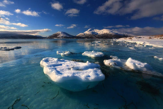 Winter Looking out Tjeldsundet Wall Decal