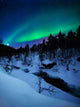 Aurora and Full Moon Wall Decal