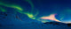 Aurora Borealis over Skittendalen Wall Decal Design 1