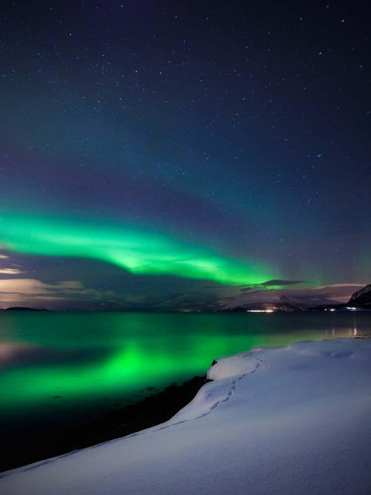 Aurora Borealis over Vagsfjorden Wall Decal