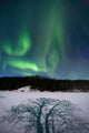 Aurora Borealis over Sandvannet Wall Decal Design 3