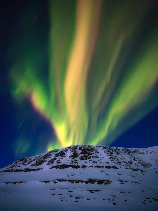 Aurora Borealis over Toviktinden Wall Decal