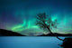 Aurora Borealis over Sandvannet Wall Decal Design 1