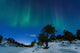 Aurora Borealis Forramarka Troms Wall Decal Design 5