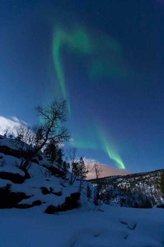 Aurora Borealis over Troms Wall Decal