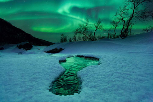 Aurora Borealis over Frozen Wall Decal Design 3