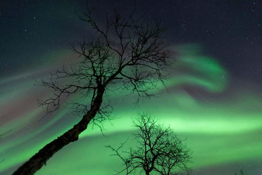 Northern Lights Arctic Wilderness Wall Decal Design 7