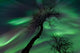 Northern Lights Arctic Wilderness Wall Decal Design 6