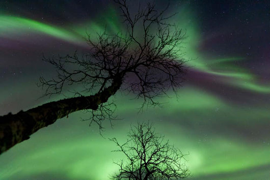 Northern Lights Arctic Wilderness Wall Decal