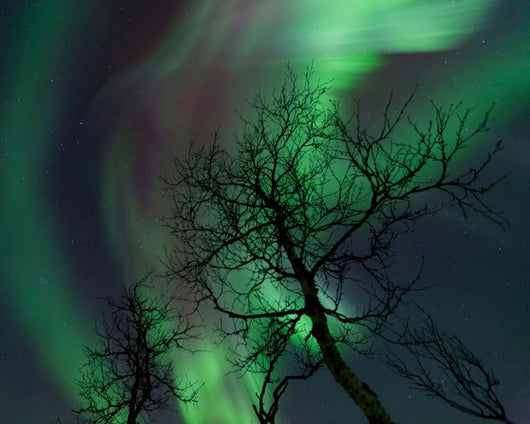 Northern Lights Arctic Wilderness Wall Decal Design 3