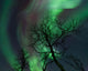 Northern Lights Arctic Wilderness Wall Decal Design 3