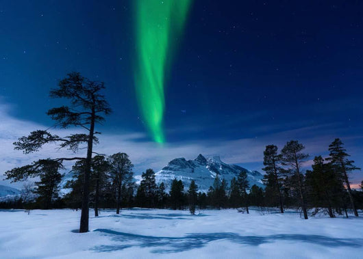 Moonlight and Aurora Borealis Wall Decal Design 1