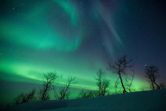 Northern Lights Arctic Wilderness Wall Decal Design 2