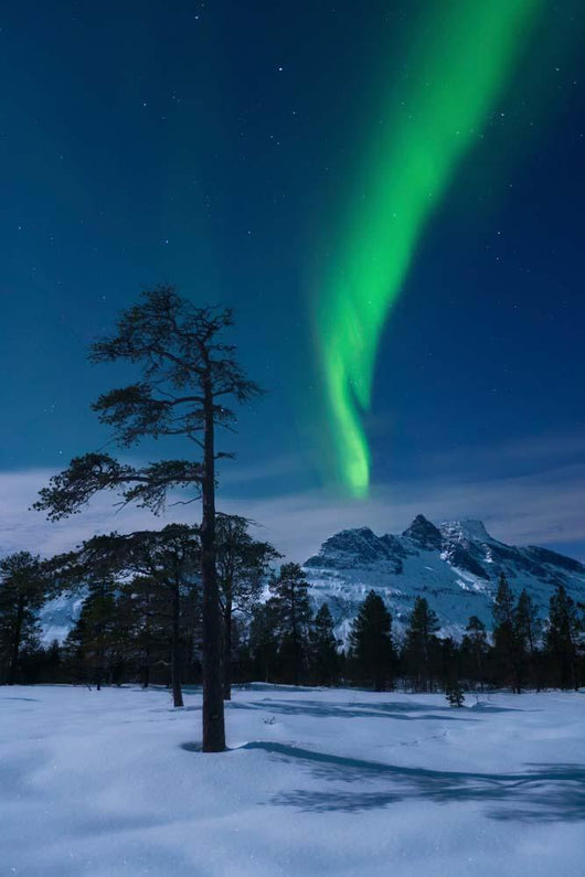 Moonlight and Aurora over Wall Decal